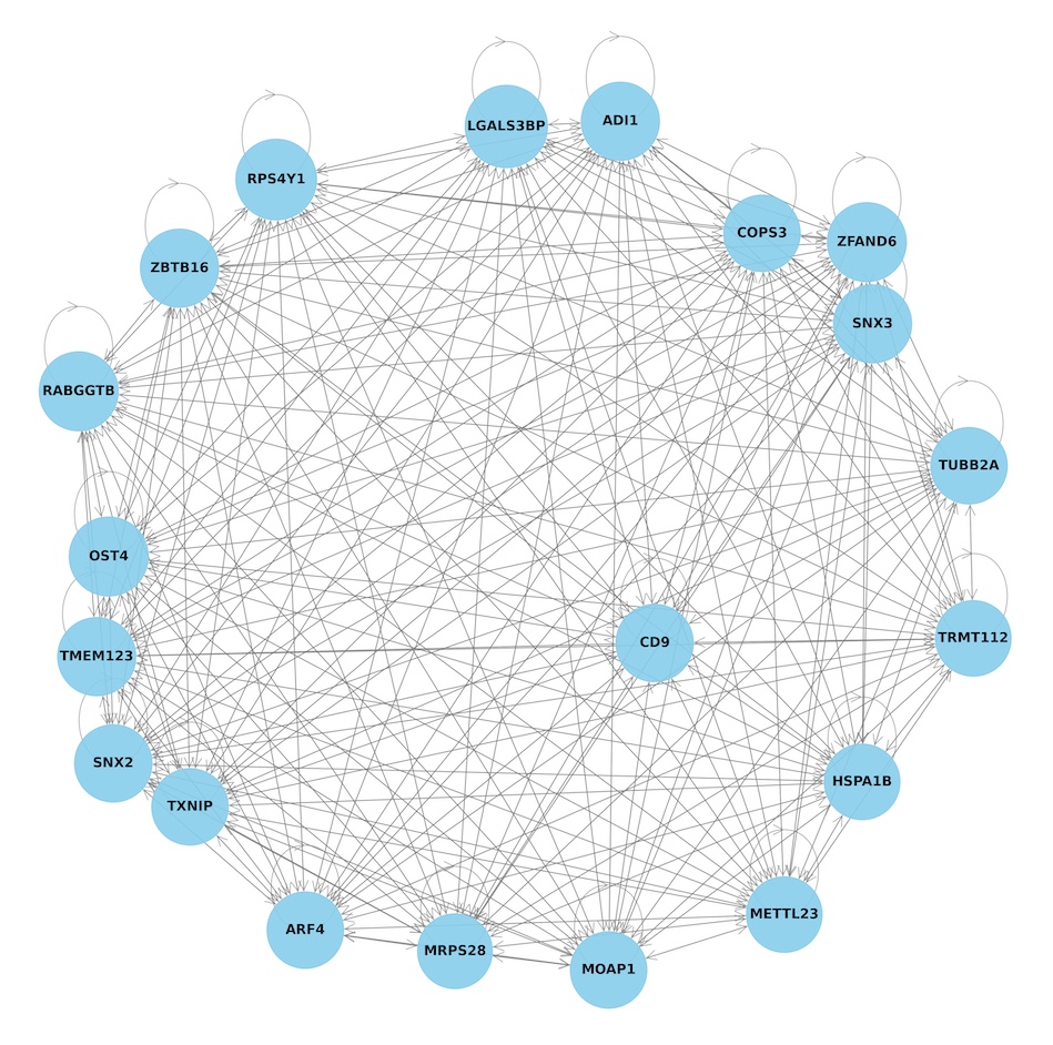 Causal Graph Example